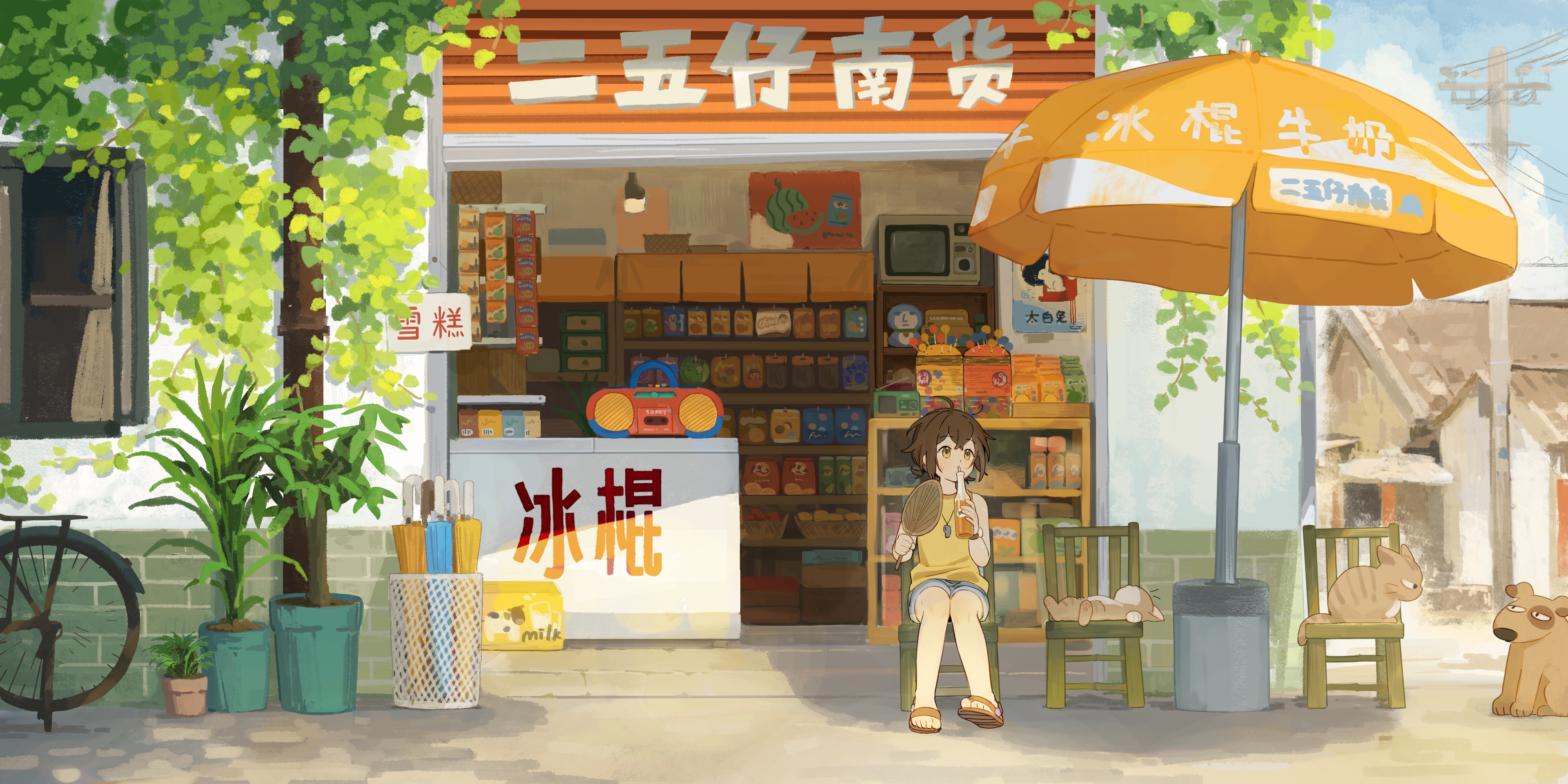 boxmoe_header_banner_img
